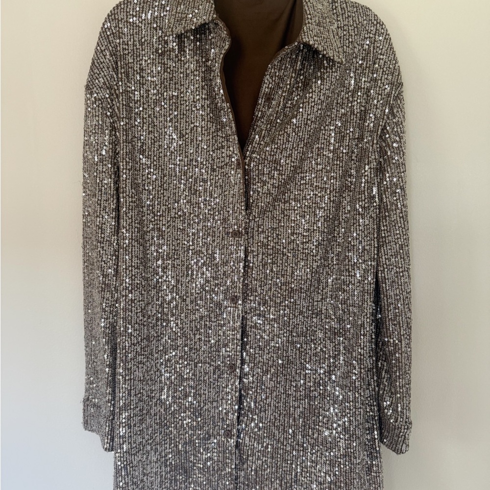 Anthropologie Flat White Silver Sequin Mini Petite Dress